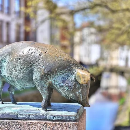 Ohlerich Speicher App_ 11 Hotell *